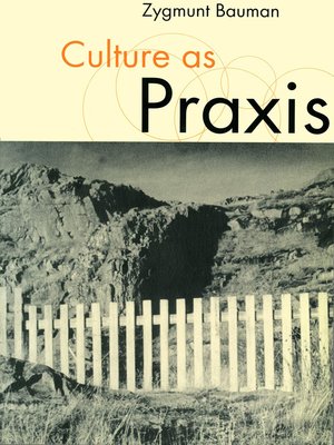 cover image of Culture as Praxis